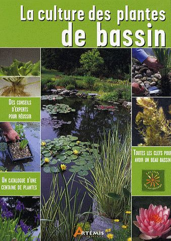 La culture des plantes de bassin