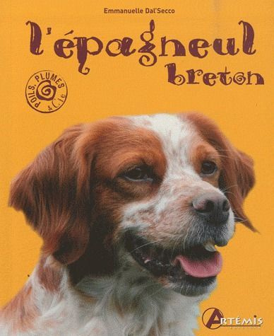 L'épagneul breton