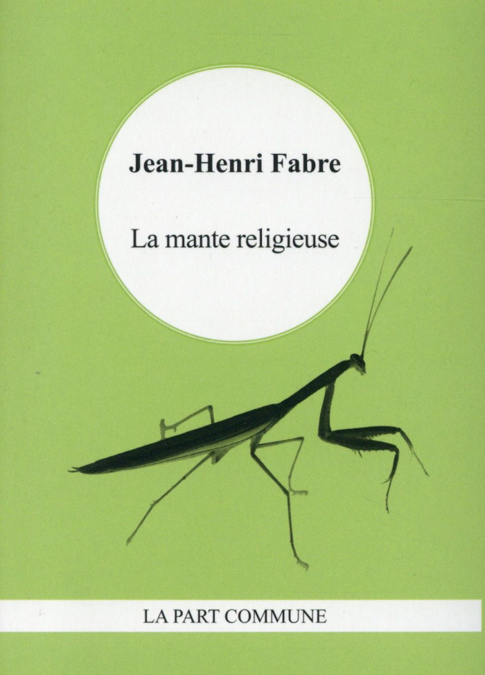 La mante religieuse