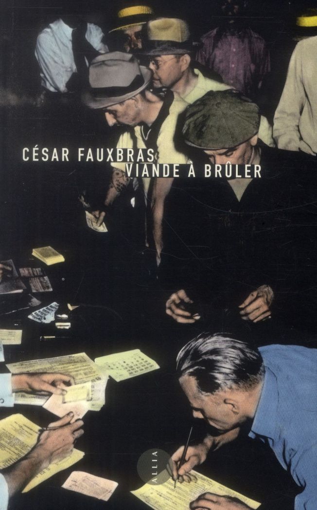 Viande à brûler. Journal d'un chômeur