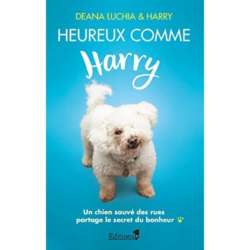 Heureux comme Harry. Un chien cabossé par la vie partage le secret du bonheur