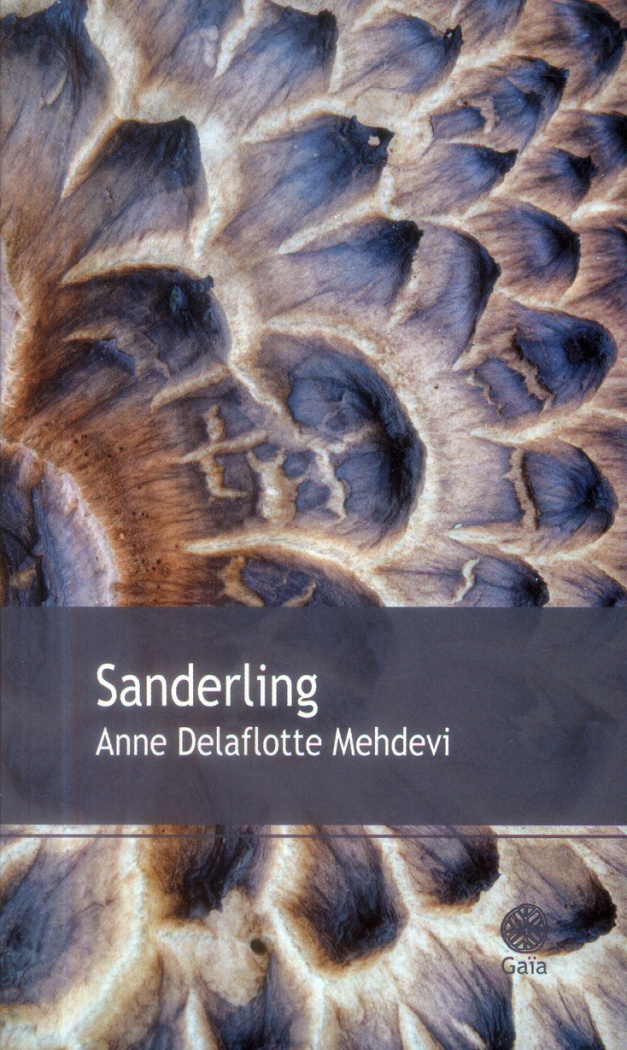 Sanderling