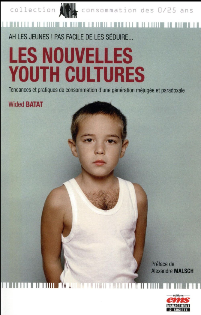 Les nouvelles youth cultures. Tendances et pratiques de consommation d'une génération méjugée et par