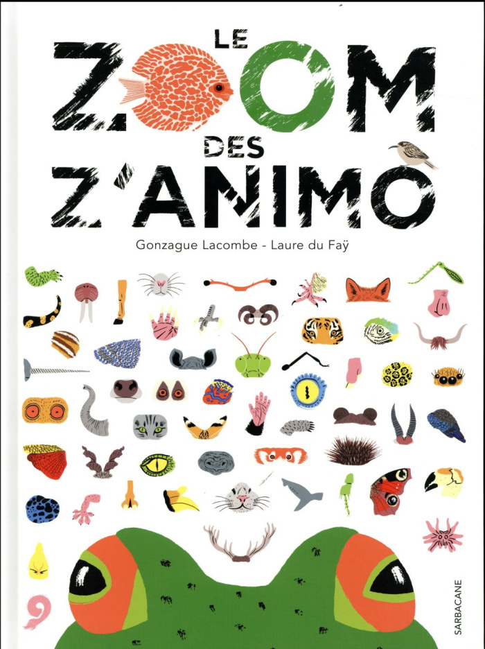 Le zoom des z'animo