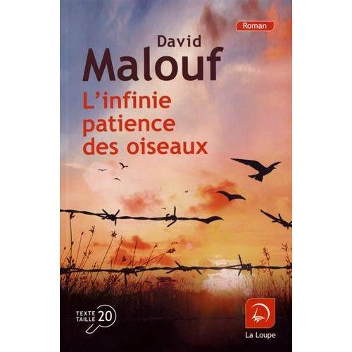 L'infinie patience des oiseaux [EDITION EN GROS CARACTERES