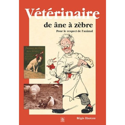 VETERINAIRE DE ANE A ZEBRE