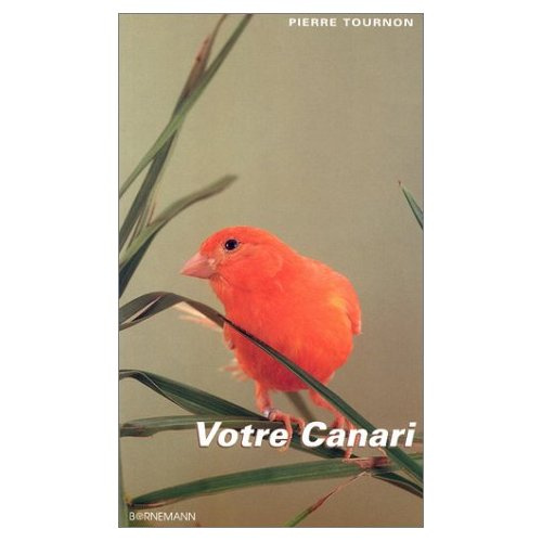 Votre canari