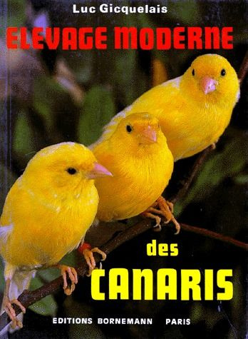 Élevage moderne des canaris. Chant, couleur, posture, hybridation