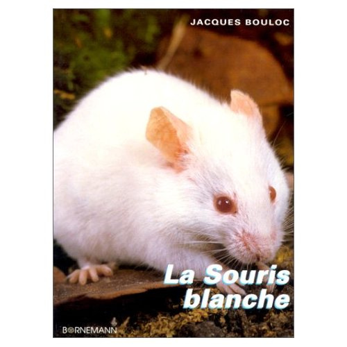 La souris blanche et autres variétés
