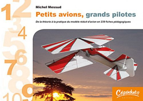 Petits avions, grands pilotes / De la théorie à la pratique du modèle réduit d'avion en 239 fiches p