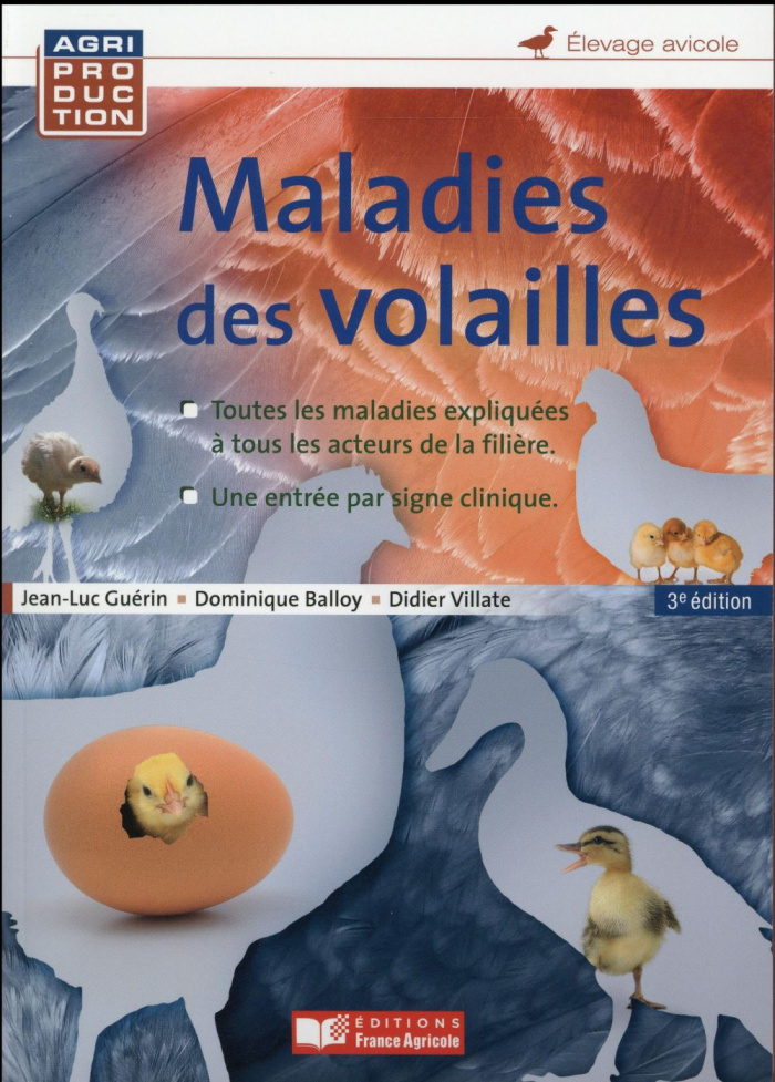 Maladies des volailles