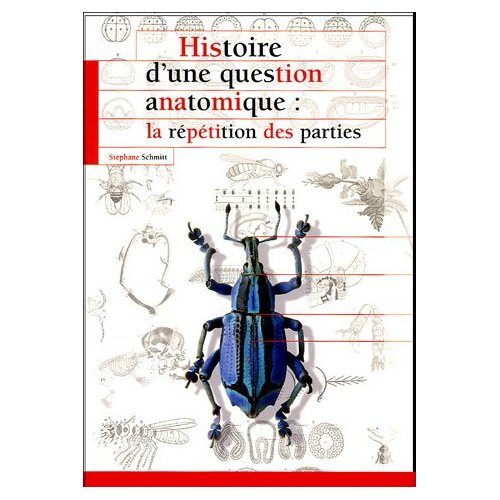 HISTOIRE D UNE QUESTION ANATOMIQUE