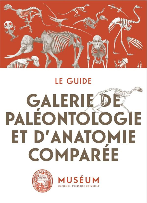 La galerie de paléontologie et d'anatomie comparée