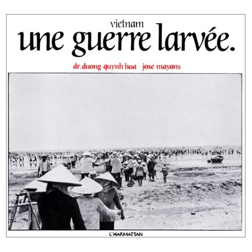 Vietnam, une guerre larvee - des regards d'enfants interrogateurs sur l'avenir du vietnam