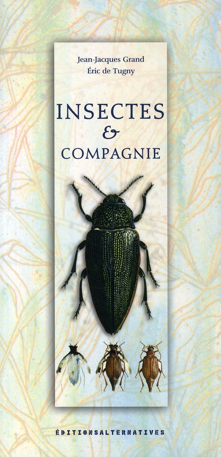 Insectes et Compagnie