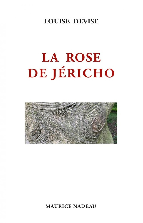 La rose de Jéricho