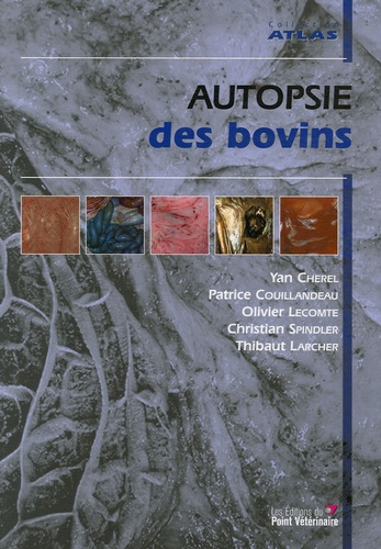 Autopsie des bovins