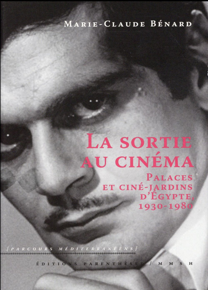LA SORTIE AU CINEMA