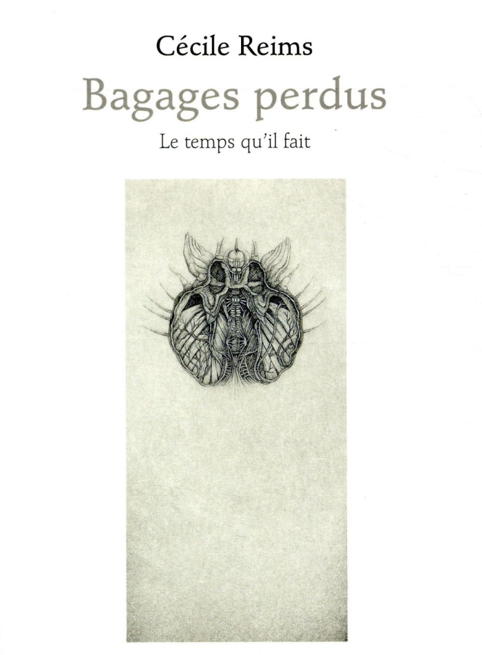 Bagages perdus