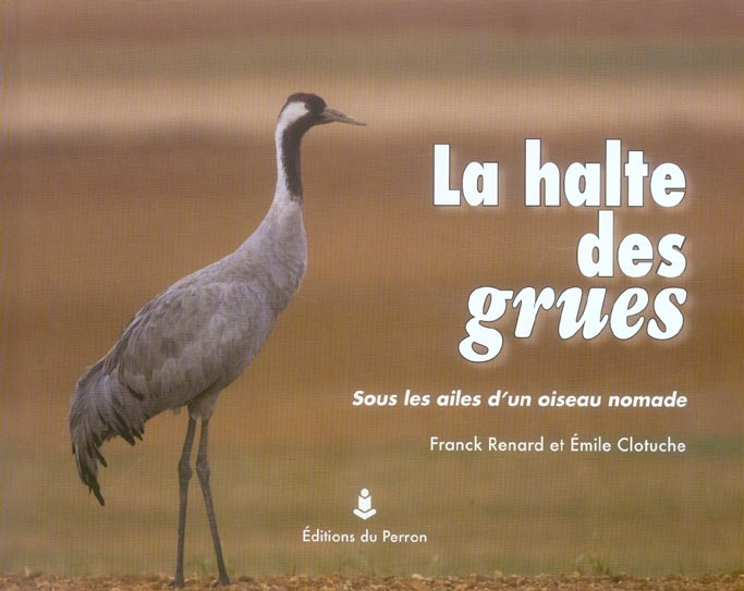 La halte des grues. Sous les ailes d'un oiseau nomade