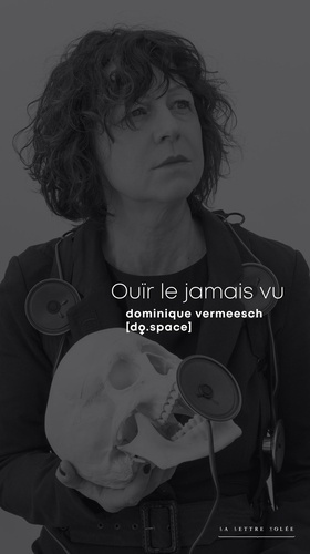 Dominique Vermeesch, Ouïr le jamais vu