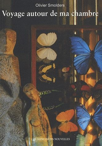 Voyage autour de ma chambre. Notes pour un film immobile