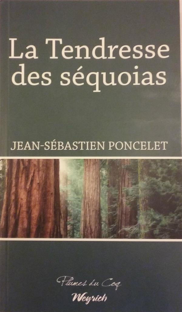 La tendresse des sequoias