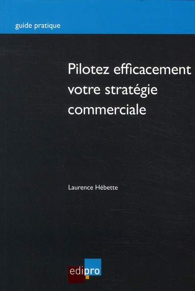Pilotez efficacement votre stratégie commerciale / Auditez votre structure et optimisez votre effica