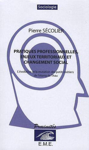 Pratiques professionnelles, enjeux territoriaux et changement social. L'évolution et la mutation des