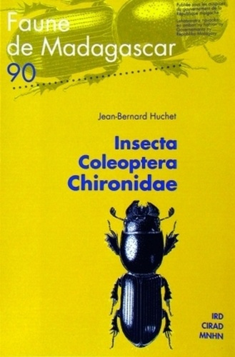 INSECTA COLEOPTERA CHIRONIDAE