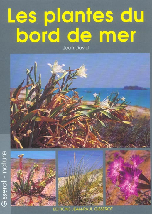 LES PLANTES DU BORD DE MER