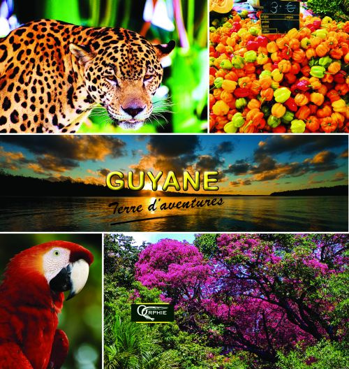 Guyane terre d'aventures. Commune par commune