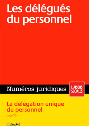 Les délégués du personnel. La délégation unique du personnel. Juillet 2010.