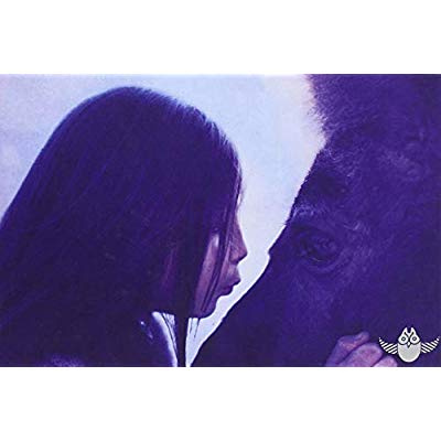 Centaures, quand nous étions enfants