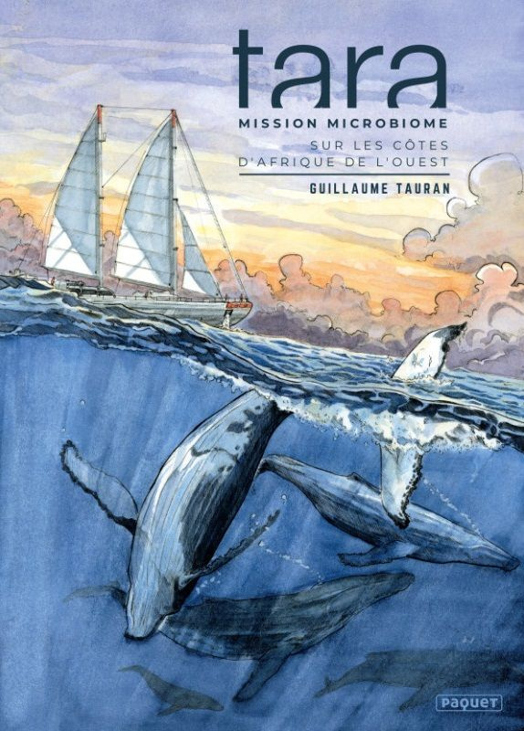 Tara : Mission microbiome. Sur les côtes d'Afrique de l'Ouest