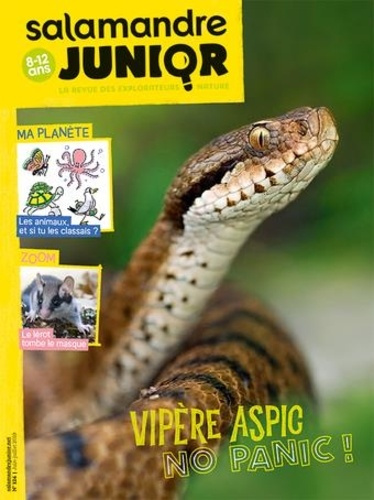 Salamandre Junior N° 124, juin-juillet 2019 : Vipère aspic, no panic !