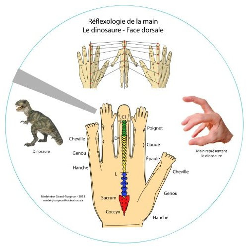 Réflexologie de la main