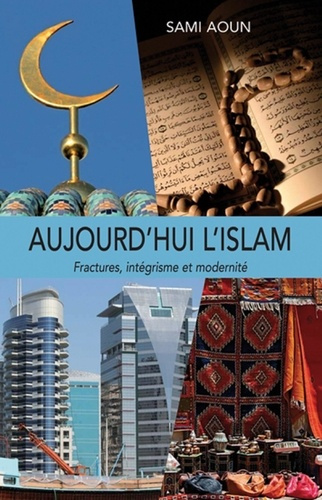 Aujourd'hui l'islam. Fractures, intégrisme et modernité