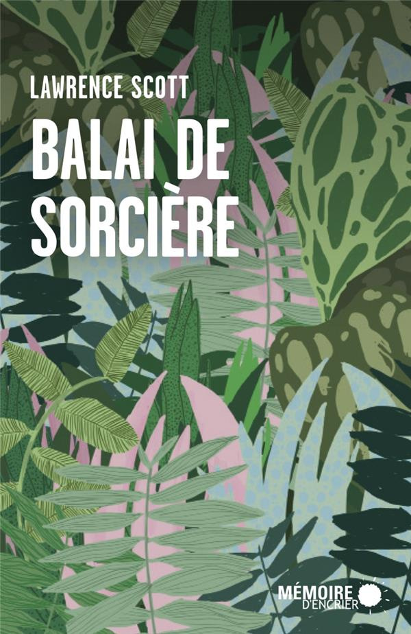 Balai de sorcière