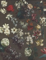 Desportes, Coffret 2 volumes. Desportes; Desportes, catalogue raisonné