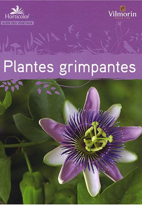 Guide des plantes grimpantes