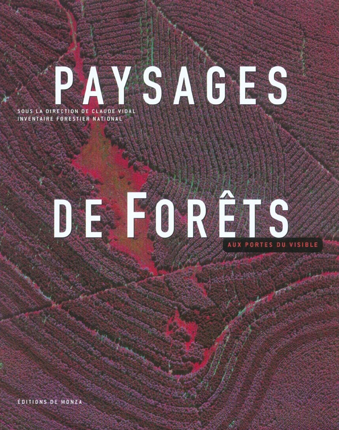 Paysages de Forêts. Aux portes du visible