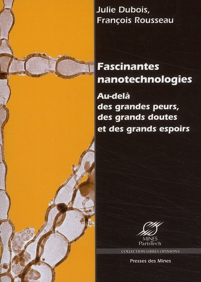 FASCINANTES NANOTECHNOLOGIES. AU-DELA DES GRANDES PEURS, DESGRANDS DOUTES ET DES - AU-DELA DES GRAND