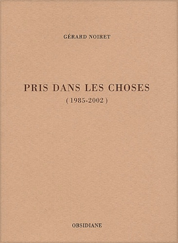 Pris dans les choses (1985-2002)