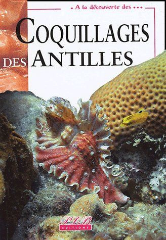 Coquillages des Antilles