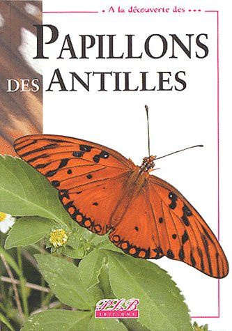 Papillons des Antilles