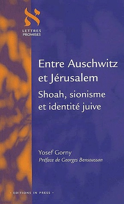 Entre Auschwitz et Jérusalem. Shoah, sionisme et identité juive