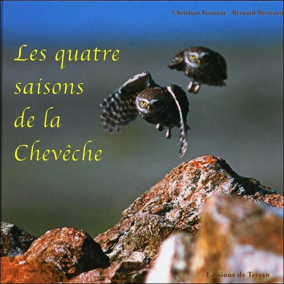 Les quatre saisons de la Chevêche