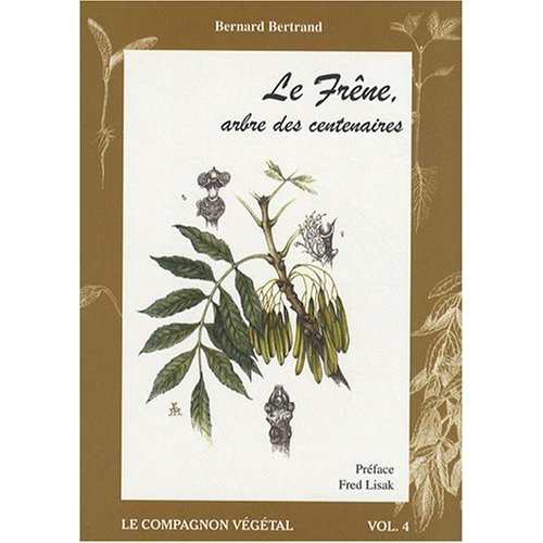 Le frêne, arbre des centenaires