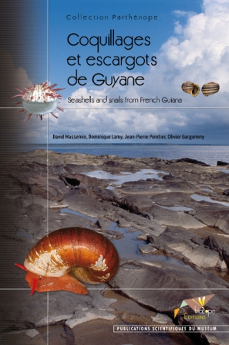 COQUILLAGES ET ESCARGOTS DE GUYANE. SEASHELLS AND SNAILS FROM FRECH GUIANA